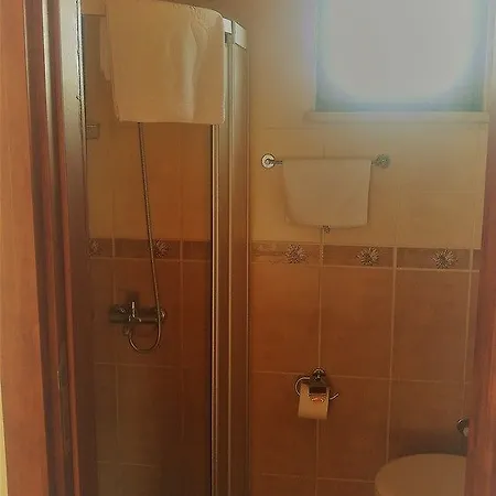Tartaruga 2*